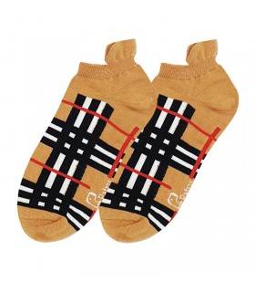 مچی پاتریس طرح بربری