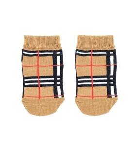 کودک مچی بربری(3-5 سال)