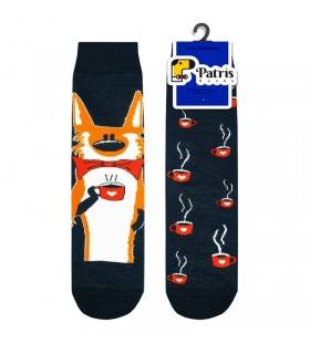 ساقدار روباه زغالی